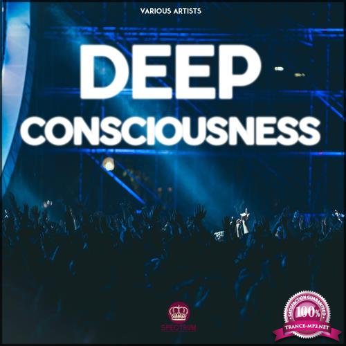 Deep Consciousness (2018)