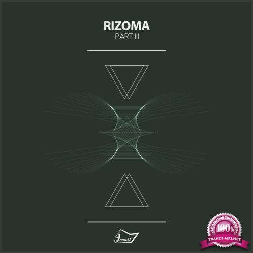 Rizoma 3 (2018)