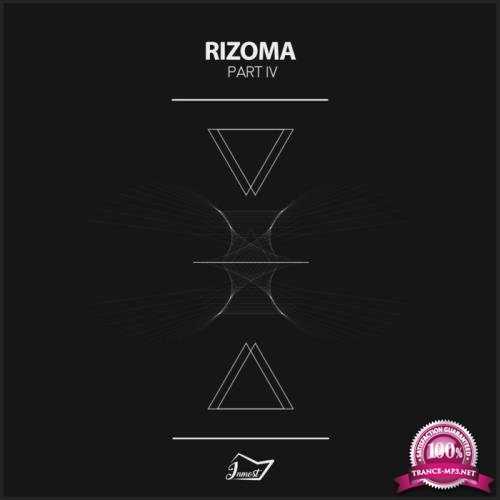 Rizoma 4 (2018)