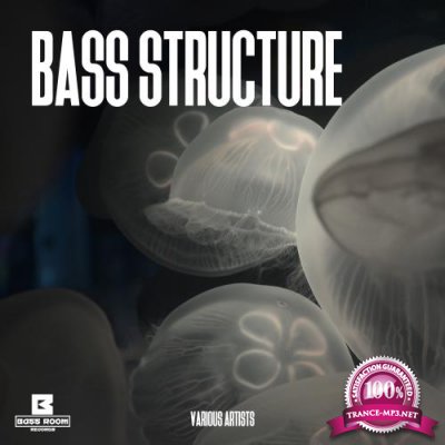 Bass Structure (2018)