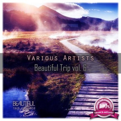 Beautiful Trip, Vol. 6 (2018)