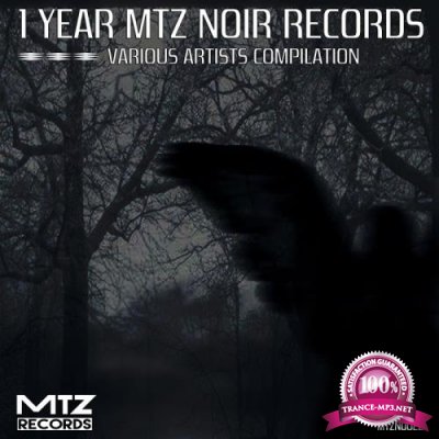 1 Year MTZ Noir Records (2018)
