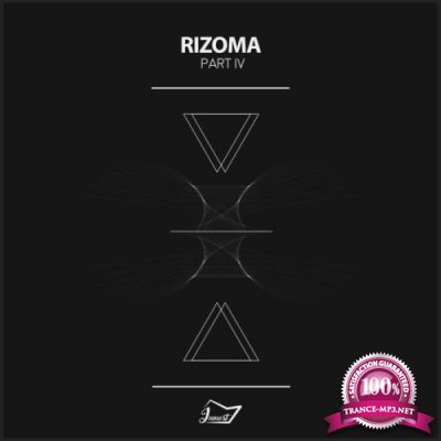 Rizoma 4 (2018)