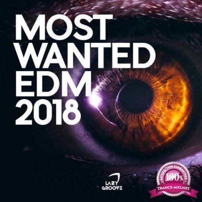 The Best of 2017 (Future House) (2018)