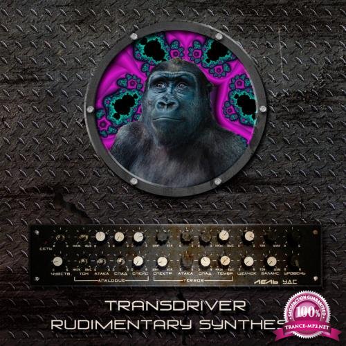 Transdriver - Rudimentary Synthesis (2018)