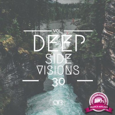 Deep Side Visions, Vol. 30 (2018)