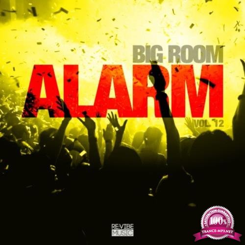 Big Room Alarm, Vol. 12 (2018)