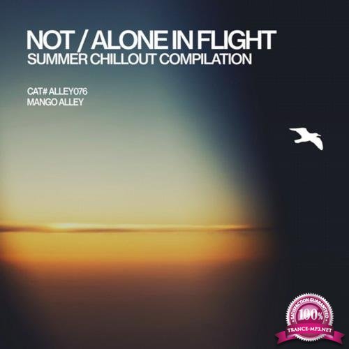 Not / Alone In Flight (2018)