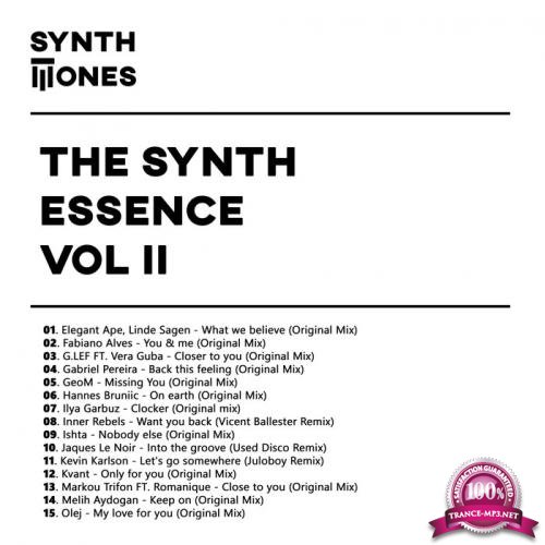 Synth Tones, Vol. 2 (2018)