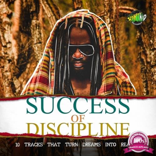 Success Of Discipline (2018)