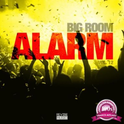 Big Room Alarm, Vol. 12 (2018)