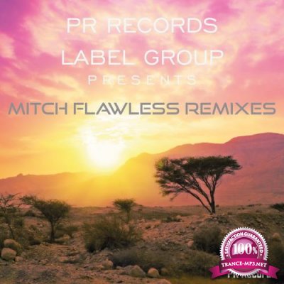 PR Records Label Group Presents Mitch Flawless Remixes (2018)