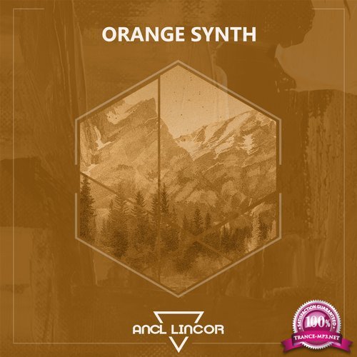 Orange Synth (2018)