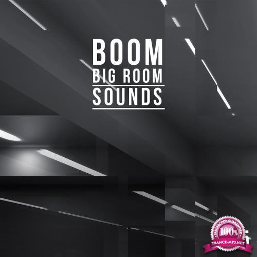 Boom, Vol. 5 (Big Room Sounds) (2018)