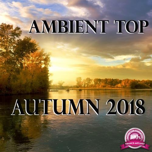 Ambient Top Autumn 2018 (2018)