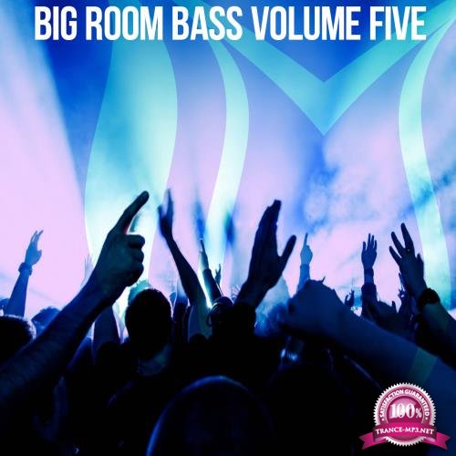 Big Room Bass, Vol. 5 (2018)