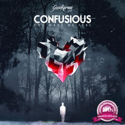 Confusious - You Make Me Feel LP (2018)