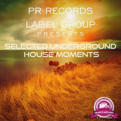 PR Records Label Group Presents: Selected Underground House Moments (2018)