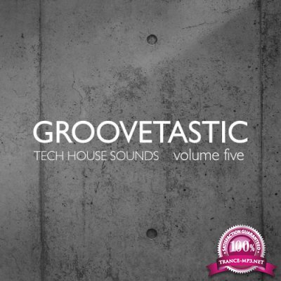 Groovetastic Vol. 5 Tech House Sounds (2018)