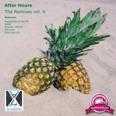 After Hours: The Remixes Vol 6 (2018)