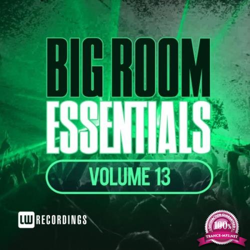 Big Room Essentials, Vol. 13 (2018)