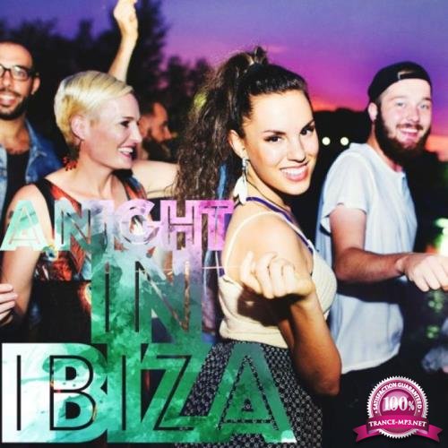 A Night In Ibiza (Beats For House Lovers) (2018)