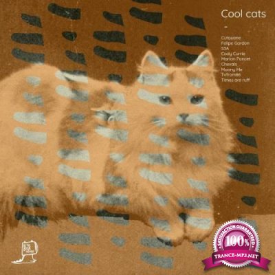 In The Box - Cool Cats (2018)
