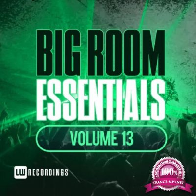 Big Room Essentials, Vol. 13 (2018)