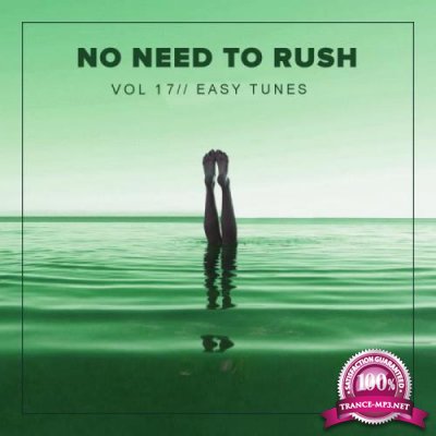 No Need To Rush, Vol. 17 Easy Tunes (2018)