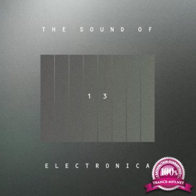 The Sound Of Electronica, Vol. 13 (2018)