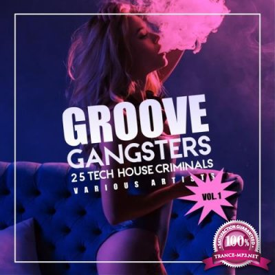 Groove Gangsters, Vol. 1 (25 Tech House Criminals) (2018)