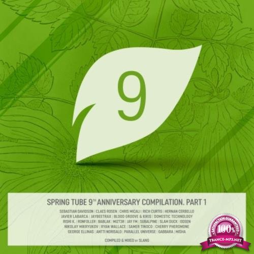 Dj Slang - Spring Tube 9th Anniversary Compilation Part 1 (2018)