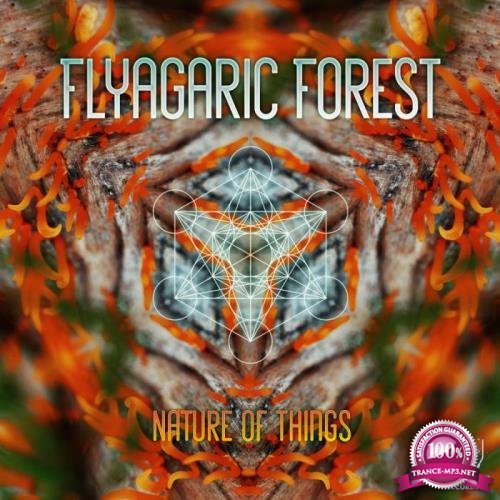 Flyagaric Forest - Nature Of Things (2018)