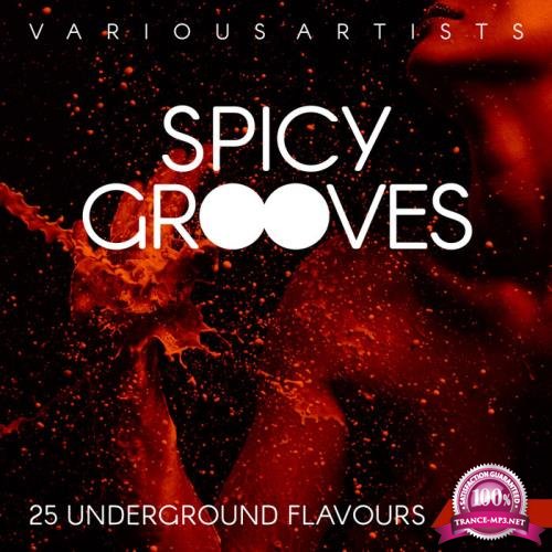 Spicy Grooves 25 Underground Flavours Vol 3 (2018)