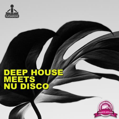 Deep House Meets Nu Disco (2018)