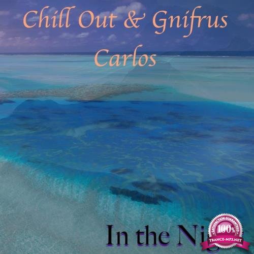 Chill Out & Gnifrus Carlos - In the Night (2018)