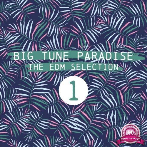Big Tune Paradise (The EDM Selection, Vol. 1) (2018)