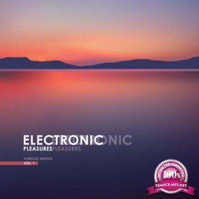 Electronic Pleasures, Vol. 1 (2018)