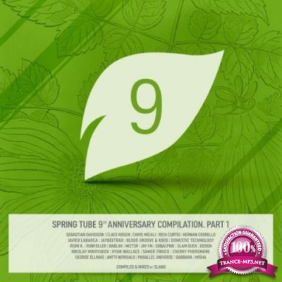 Dj Slang - Spring Tube 9th Anniversary Compilation Part 1 (2018)