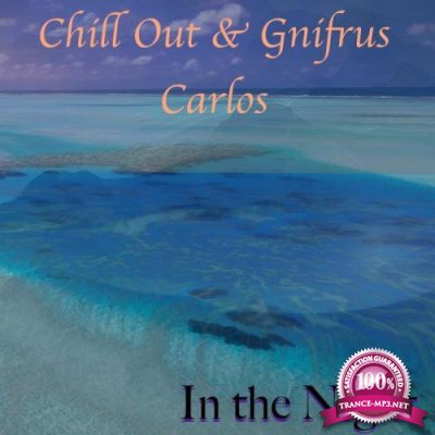 Chill Out & Gnifrus Carlos - In the Night (2018)