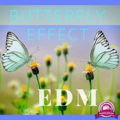 Dj Swaggy - Butterfly Effect Edm (2018)