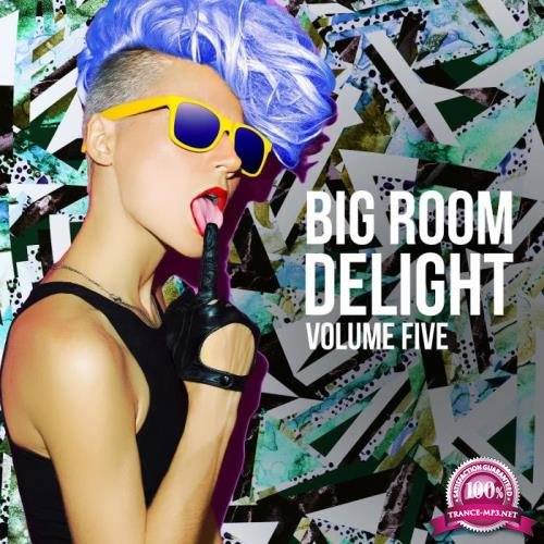 Big Room Delight, Vol. 5 (2018)