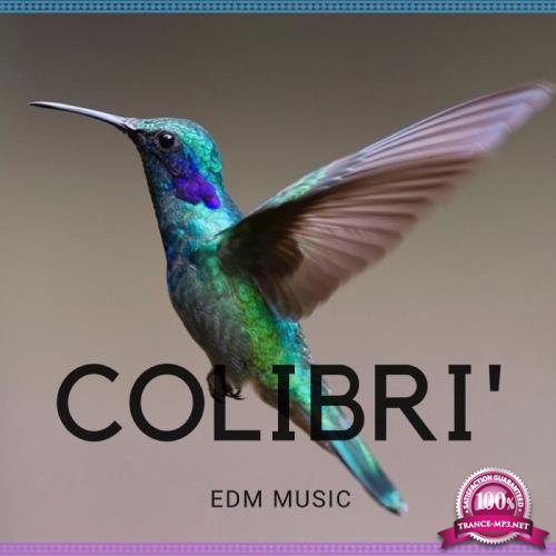 Digilio Edm - Colibri EDM Music (2018)