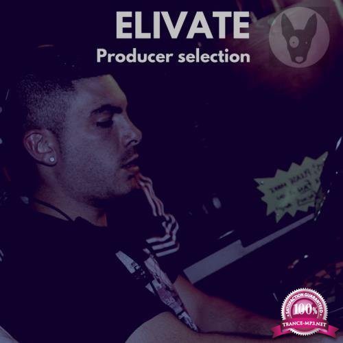 Elivate Producer Selection (2018)