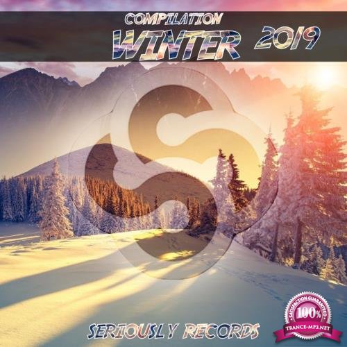 Seriously Records Presents Compilation Winter 2019 (2018)