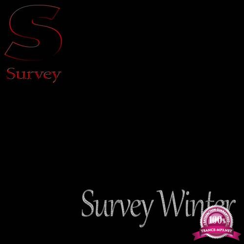 Survey Winter (2018)
