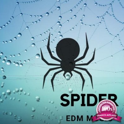 Dj Pacha - Spider EDM Music (2017)