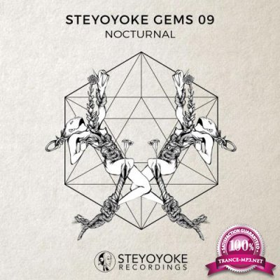 Steyoyoke Gems Nocturnal 07 (2018) FLAC
