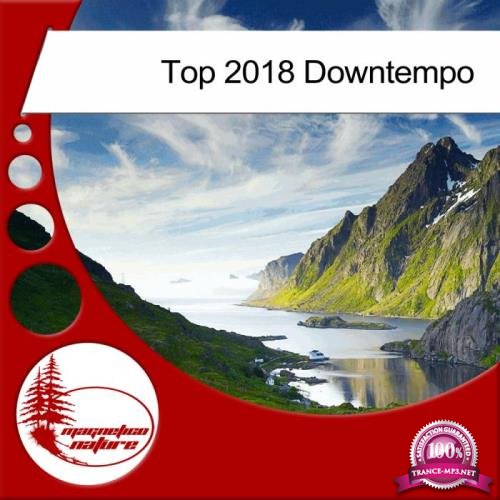 Top 2018 Downtempo (2018)