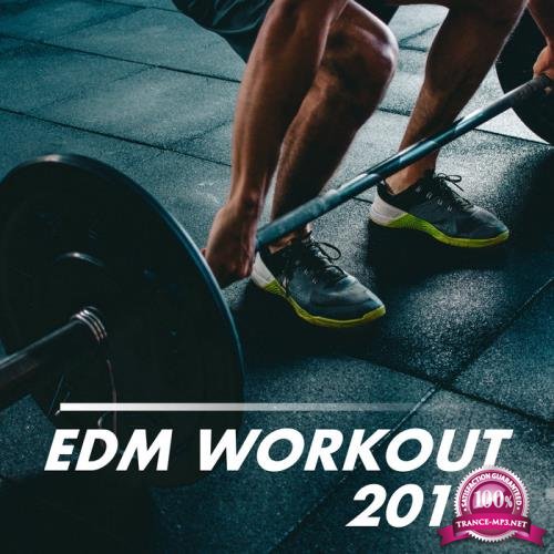 EDM Workout 2019 (2019)